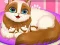 Cute Kitty Pregnant — free online game