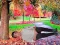 Rescue A Wounded Guy — free online game