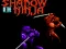 Shadow of the Ninja — free online game
