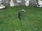 Knights Last Stand — free online game