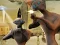 Alien Onslaught — free online game