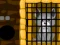 Grey Dog Rescue — free online game