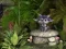 Mystery Forest Escape 2 — free online game