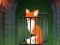 Fox in the Forgotten Ruins — free online game