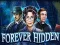 Forever Hidden — free online game