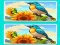 Spot the Difference The Garden — free online game
