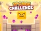 Sponge Challenge — free online game