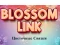 Blossom Link — free online game