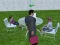 Millionaire Simulator 2024 — free online game