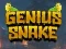 Genius Snake — free online game
