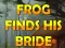 Frog Finds His Bride — free online game
