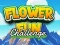 Spel Flower Fun Challenge på nätet