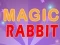 Magic Rabbit — free online game