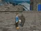 Veil of Whispers — free online game