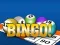 Bingooo 2024 — free online game