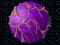 The Clicket — free online game