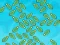 Save Seafood — free online game