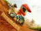 Motocross — free online game