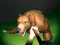 Survival: Mysterious Forest — free online game