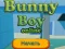 Bunny Boy Online — free online game