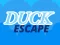 Duck Escape — free online game