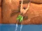 Ragdoll Rock Climber — free online game