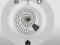 Balls Shooter — free online game