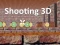 Shooting 3D — free online game