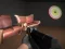 Police Assault — free online game