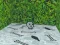The Best Gift There Is — free online game