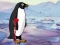 Heal the Wounded Penguin — free online game