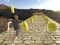 Runner 3D – tasuta veebimäng