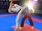 Karate Fighter — free online game