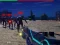 Zombie Survivor — free online game