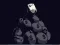 Fowlst — jogo online grátis