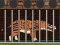 Andrewsarchus Release from Cage — free online game