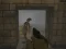 Silent Asylum 2 — free online game