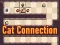 Cat Connection — free online game
