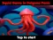 Squid Game In Dalgona Panic — free online game