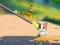 Cat Challenge — free online game