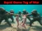 Squid Game Tug Of War — free online game
