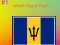 30s Hard Flag Quiz — free online game