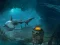 Jumping Dolphin Rescue — free online game