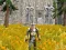 Axe Of The Ancients Dwarven Fury — free online game