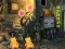 Delightful Rat Escape — free online game