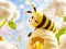 Hra Find The Differences: Little Bee's Adventure