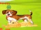 Bunny Key Quest — free online game
