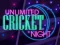Unlimited Cricket Night — free online game