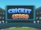 Cricket Craze — free online game