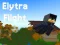 Elytra Flight — free online game
